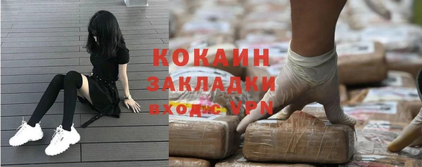 шишки Краснослободск