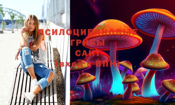 шишки Краснослободск