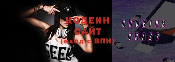 гашик Коряжма