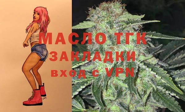 гашик Коряжма