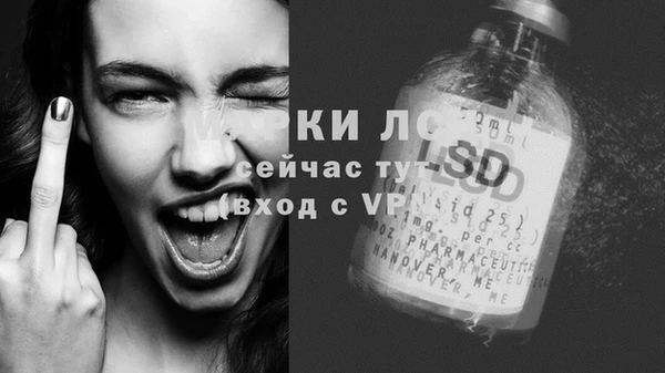 гашик Коряжма